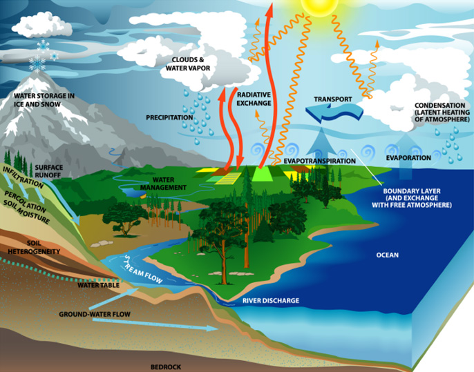 water cycle diagram with labels. picture of the water cycle